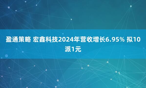 盈通策略 宏鑫科技2024年营收增长6.95% 拟10派1元