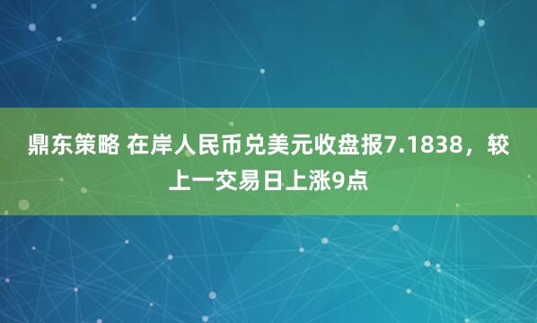 鼎东策略 在岸人民币兑美元收盘报7.1838，较上一交易日上涨9点