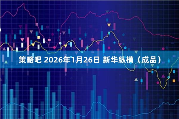 策略吧 2026年1月26日 新华纵横（成品）