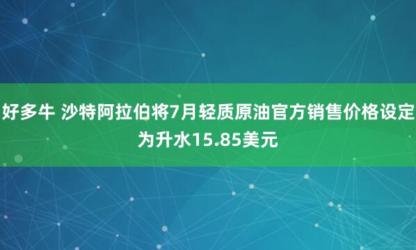 好多牛 沙特阿拉伯将7月轻质原油官方销售价格设定为升水15.85美元