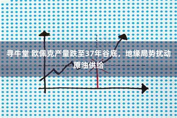 寻牛堂 欧佩克产量跌至37年谷底，地缘局势扰动原油供给
